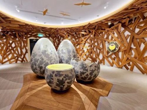 嘉義免費親子景點：「鰲鼓濕地東石自然生態展示館」巨型鳥蛋體驗