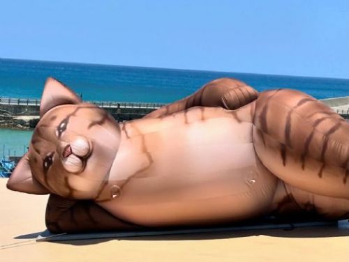 探索屏東之美：結合旅遊與日常的精彩冒險！