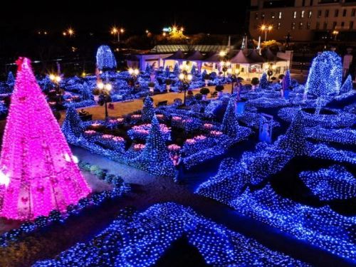 嘉義秘境驚艷登場  百坪銀河燈海與雪花飄落體驗  還有落羽松迷人景觀