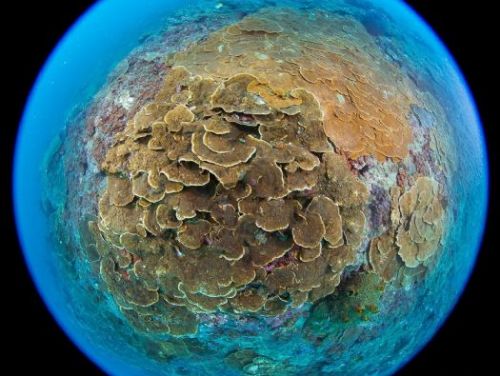 2024年島嶼印象攝影比賽啟動！全台69處海洋保育區大公開，親子共享創作樂趣