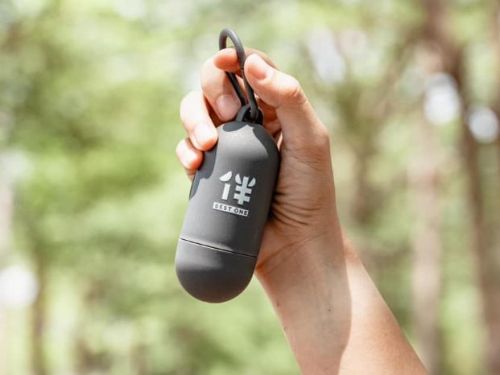 狗狗專屬的吉犬昇天日：內惟藝術中心為毛孩舉辦特別活動