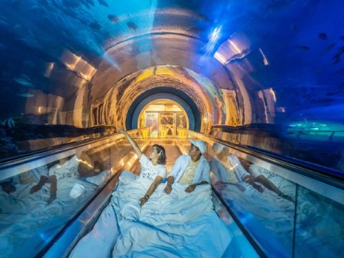 仲夏節微笑南灣展館聯合推廣