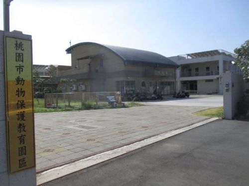 桃園市動物友善城市志工在職訓練即將登場！