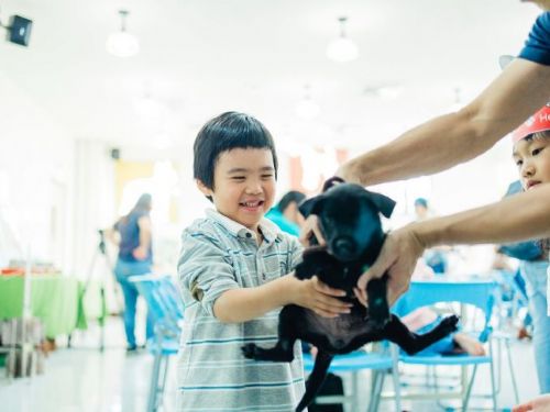 113年高雄市為毛孩找個家 | 快樂幸褔認養會「家樂福成功店」