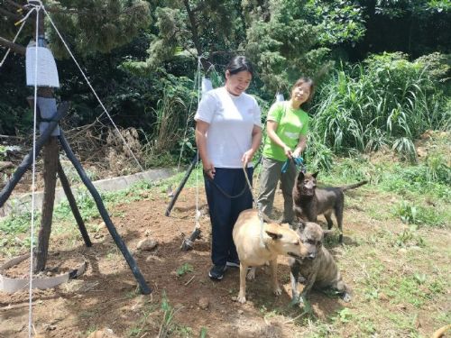 新北市動物之家迎來新綠意：龍柏樹為毛寶貝創造舒適休閒空間