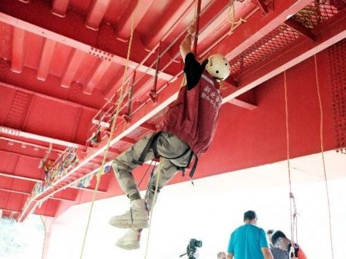 新北市動保處成功救援受困高空的貓咪