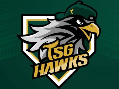 台鋼雄鷹與樂天桃猿展開激烈熱身賽：雄鷹9局上逆轉擊敗猿隊