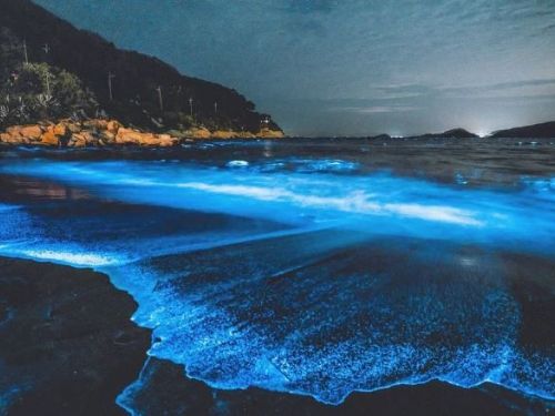 馬祖「藍眼淚」盛況即將開啟！行前準備QA筆記