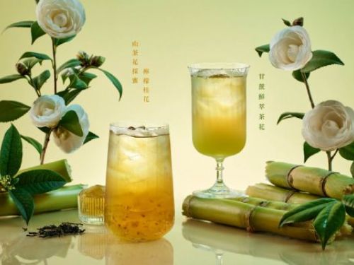 珍煮丹2023年度山茶花系列飲品，春日花香盛放