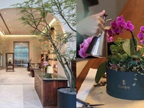 【2024全台最美花店】3大必訪亮點一次看！在精品花廊裡邊學花邊培養生活美感