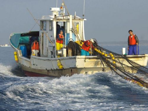 陸船翻覆！調查顯示46%民眾不滿意政府應變措施