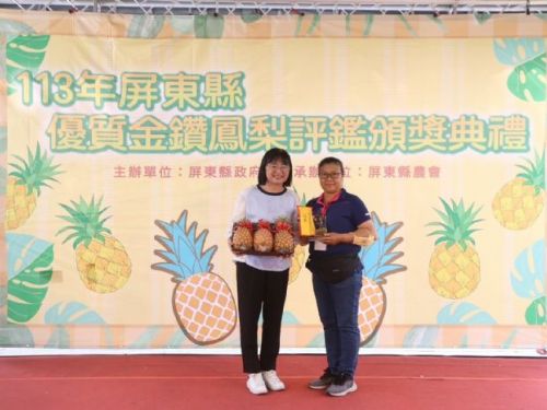 屏東縣政府優質金鑽鳳梨評鑑：農民心血結出美味果實