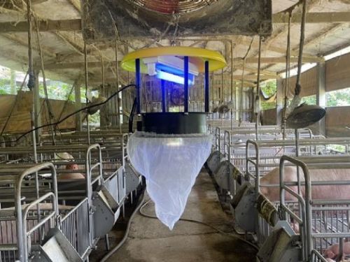 新北畜牧場迎戰疫情，端午佳節巨型香包助陣