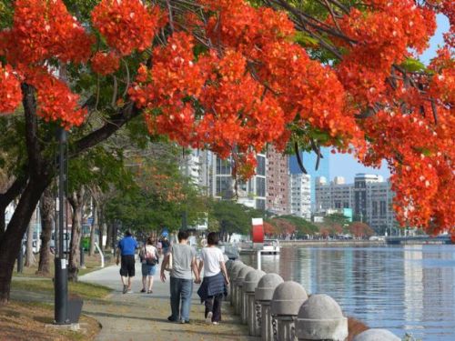 漫遊愛河體驗新風貌　河西市集周末登場