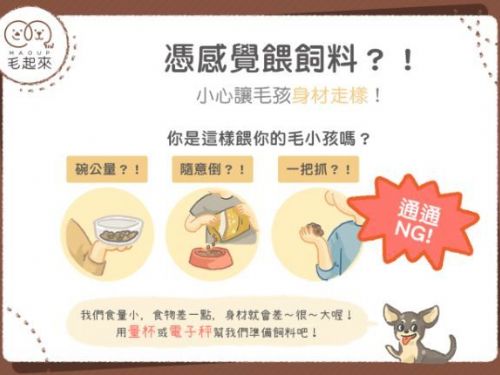隱形的熱量讓毛孩身材走樣？別再憑感覺餵毛孩囉！
