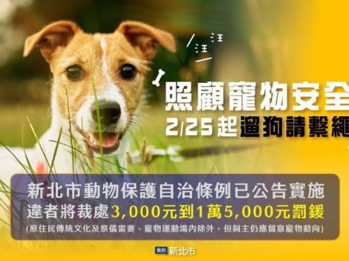 新北市動保處強調飼主責任，推動寵物安全與城市和諧