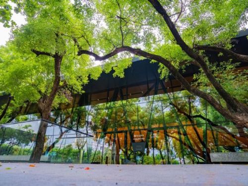 屏東縣政府榮獲2024國家卓越建設獎九項殊榮