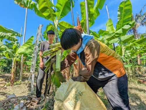 青年署推動土地歷史與文化課程，青年深度探索臺灣土地故事