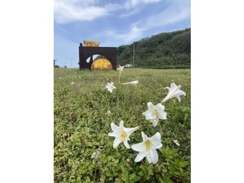 北海岸百合花海，與春天同行