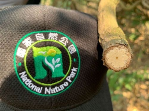 壽山林相的保護與共識