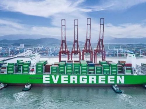長榮營收大漲！海運市場運價持續上揚，1月月增19.96%、年增8.04%