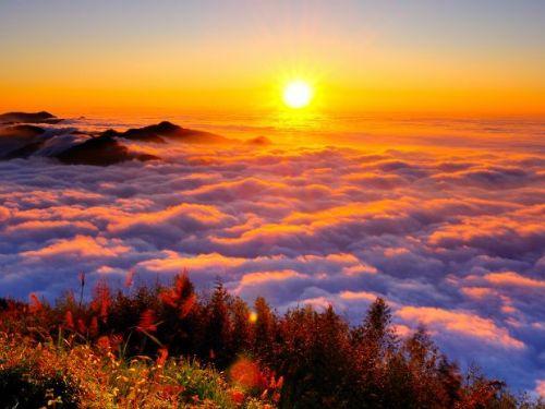 臺灣與巴拉圭觀光交流進新篇章！兩國簽署合作意向書，共同提升旅遊品質