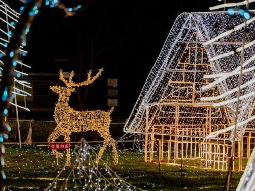 2024 山谷燈光節：童話聖誕村帶你暢遊冬季奇幻世界