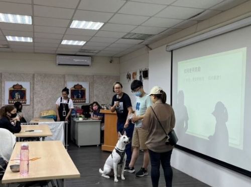 新北市動保處推出寵物高齡照護課程，歡迎報名參與