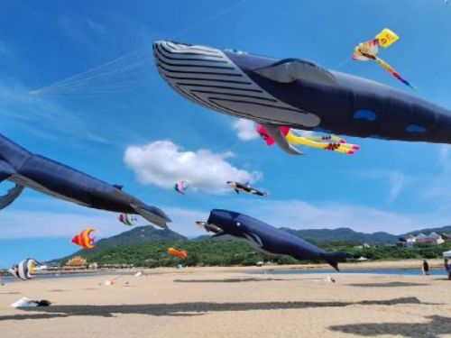 2024福隆生活節即將盛大登場：夏日歡樂等你來體驗！