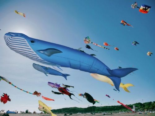 2024旗津風箏節：乘渡輪享受風箏與水樂園的雙重樂趣！