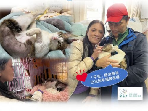 「平安」找到幸福家庭，感謝您的關愛！