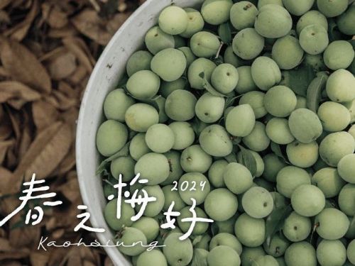 高雄迎接春天的青梅盛宴
