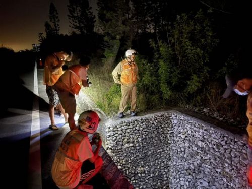 小琉球護蟹行動啟動，守護陸蟹黃金遷徙季節