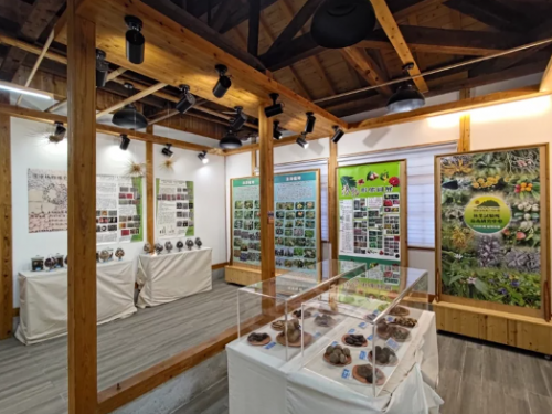 迎龍年春節！嘉義樹木園濱海植物種子特展隆重登場