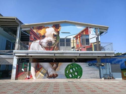 流浪狗狗認養活動：帶回家一份愛與快樂