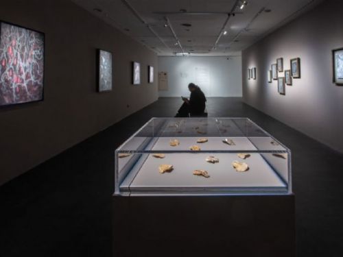 奇幻考古之旅：江凱群與陳絲穎雙個展《考古混響》在KSPACE隆重登場