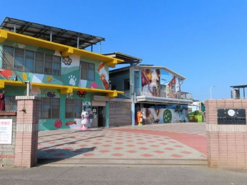 貓咪認養會：與可愛的小貓共度溫馨時光