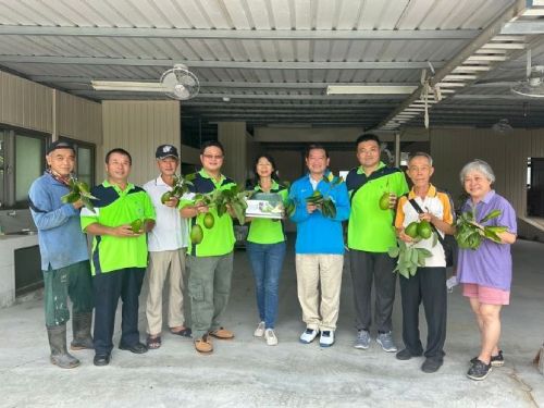 幸福果酪梨榮獲產銷履歷驗證，大內高手合作社全力推廣台灣優質品牌