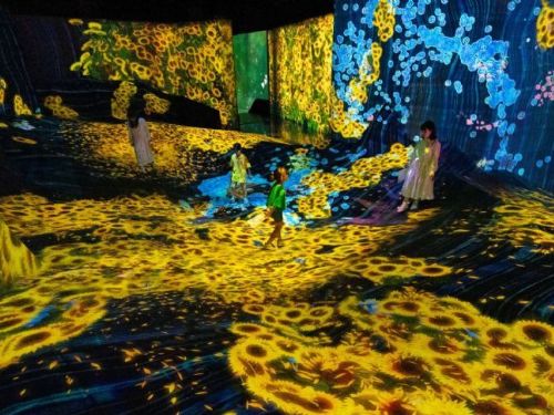 2025夏日必訪！「teamLab共創！未來園」高雄站繽紛登場，開啟藝術與科技的奇幻互動之旅