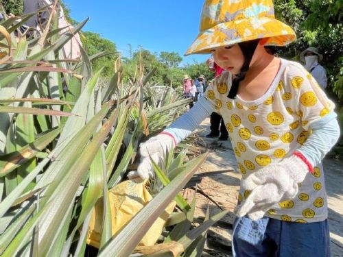 觀光局大樹採果生態單車遊 全員大豐收