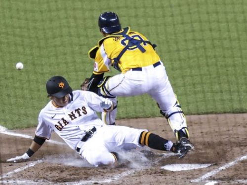 中職大巨蛋熱身賽門票熱銷 破紀錄吸引萬名球迷