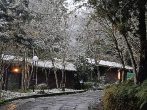冬日仙境！明池淨雪 銀白神木園積雪5cm美不勝收