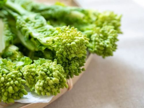 一系列最好吃的「油菜花食譜」