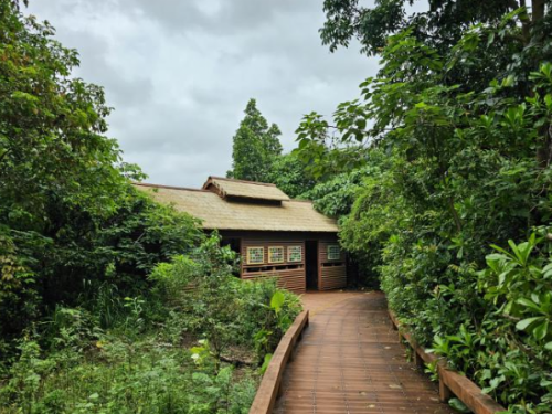 大高雄生態嘉年華周六登場　歡迎來鳥松濕地體驗