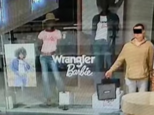 波蘭瘋狂賊扮「櫥窗公仔」　趁商店收舖後偷珠寶