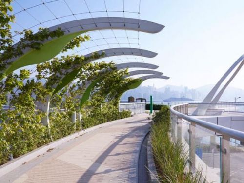 香港政府新增62個允許寵物入內的公園