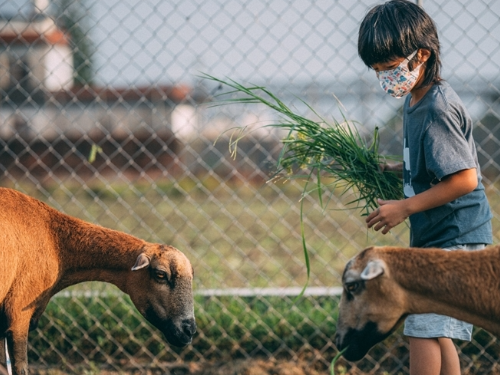 高雄好買大方抽！獎品總價值超過十萬！ 來高雄觀光圈消費把Gogoro大獎騎回家