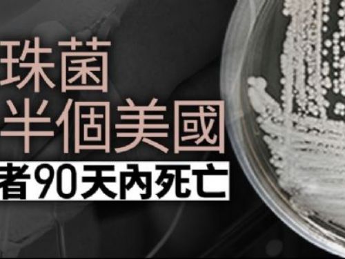 攻陷半個美國！奪命耳念珠菌病例激增　近半病人90天內死亡