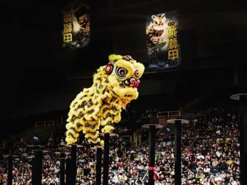 睽違四年！2023高雄戲獅甲11/18-19重磅登場