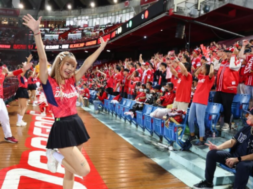 中職2024年賽程3地開打 龍猿3/30開幕戰可望在大巨蛋